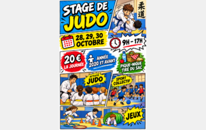 Stage de Judo